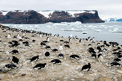 L’Antarctique emblématique -N-200145_A101219_USHUAIA-USHUAIA©StudioPONANT-ClémentLOUINEAU.jpg