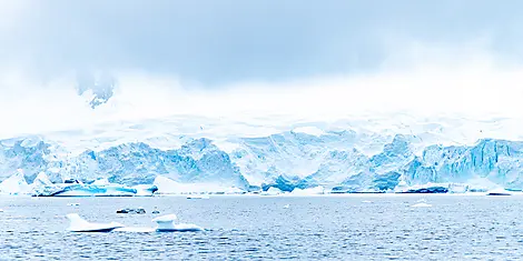 L’Antarctique emblématique