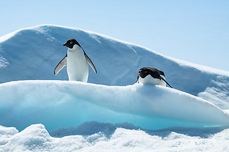 Antarktis, Falklandinseln & Südgeorgien-No-2584_S040120_Ushuaia-Ushuaia©Studio Ponant-Olivier Blaud.jpg