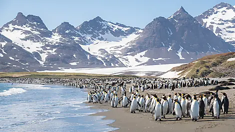 antarctica cruises uk