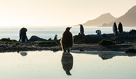 Antarktis, Falklandinseln & Südgeorgien -No-2344_S030220_Ushuaia-Ushuaia©StudioPonant-Olivier Blaud - Copie.jpg
