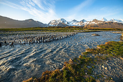 Antarktis, Falklandinseln & Südgeorgien -No-2330_S030220_Ushuaia-Ushuaia©StudioPonant-Olivier Blaud.jpg