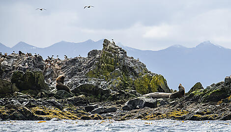 The best of Chilean Fjords-No-2246_©StudioPonant-OlivierBlaud.jpg