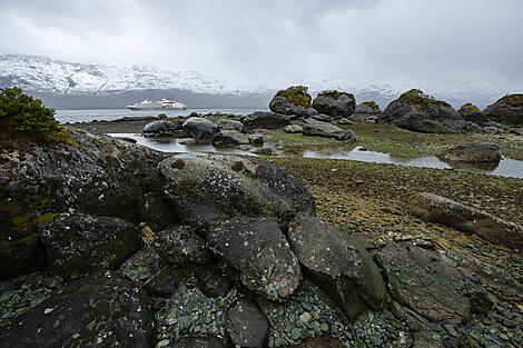 L’essentiel des fjords chiliens-No-2222_©StudioPonant-OlivierBlaud.jpg