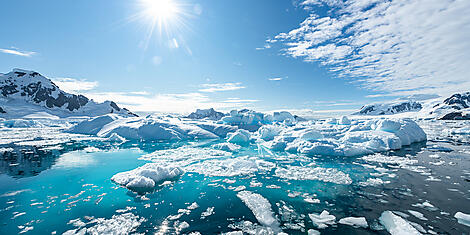 Antarktis `Klassisch´ -No-2514_S190220_PARADISE©StudioPONANT-OlivierBlaud-pple.jpg
