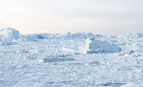 Grönland und die letzten Wächter des Nordpols-iStock-1271199260.jpg