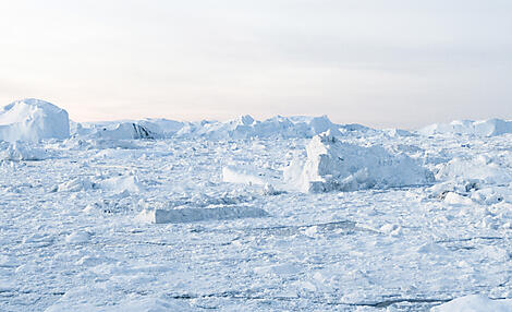 Encounter with the Last Guardians of the North Pole-iStock-1271199260.jpg