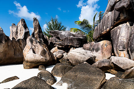 Von Madagaskar zu den Seychellen – unerwartete Inseln-No-2218_EC130223_Mahe_Mahe_Seychelles_Ile de Curieuse©StudioPONANT-Doriane Letexier(1).jpg