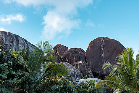 Rêverie sous voiles au cœur des petites Antilles-No-2344_U231222_FORT-DE-FRANCE-FORT-DE-FRANCE_VIRGIN-GORDA-ISLAND©StudioPONANT-AurelieCourt.jpg