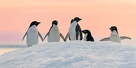 Côte est inexplorée de l’Antarctique et terres australes françaises