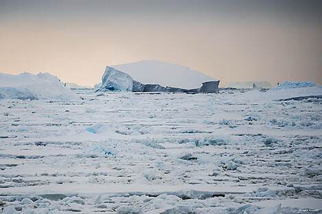 Unexplored Antarctica between Two Continents-N°0052_StudioPONANT_Morgane Monneret.jpg