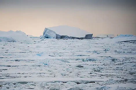 Entre deux continents, terres inexplorées d’Antarctique-N°0052_StudioPONANT_Morgane Monneret.jpg