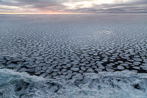 Entre deux continents, terres inexplorées d’Antarctique-N°0425_StudioPONANT_Morgane Monneret.jpg