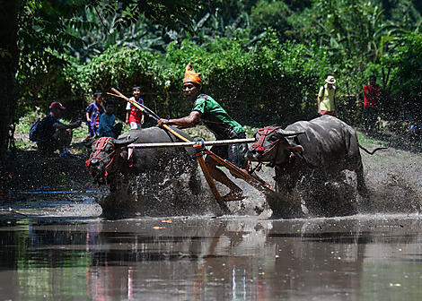 Odyssée tropicale indonésienne-N°-1149_R070323_Bali-Singapore©StudioPONANT-Laure Patricot.JPEG