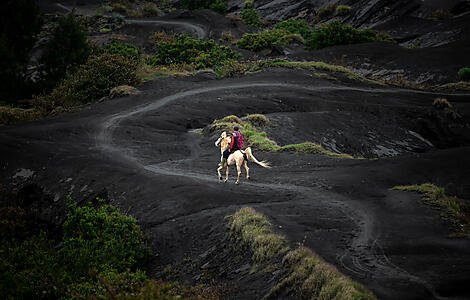 Inseln, Städte und Vulkane Indonesiens-_2N4A3400_R091122_Mont Bromo_Indonesie_©PONANT-Julien-Fabro.jpg