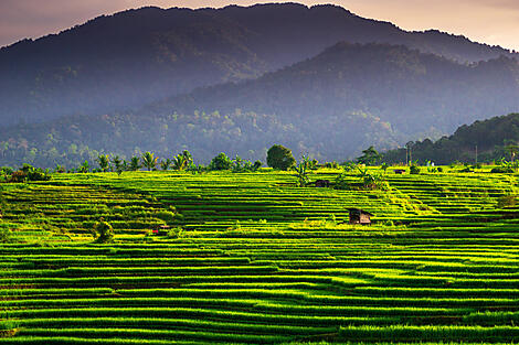 Städte und Vulkane Indonesiens-AdobeStock_508658561.jpeg