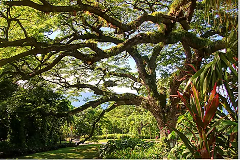 History and culture visiting Caribbean jewels-AdobeStock_194836978.jpeg