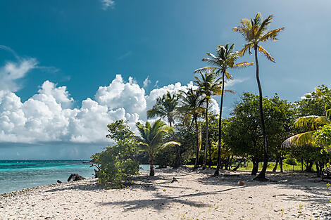 History and culture visiting Caribbean jewels-No-2168_U160123_FORT-DE-FRANCE-FORT-DE-FRANCE_TOBAGO-CAYS©StudioPONANT-Aurelie Court.jpg