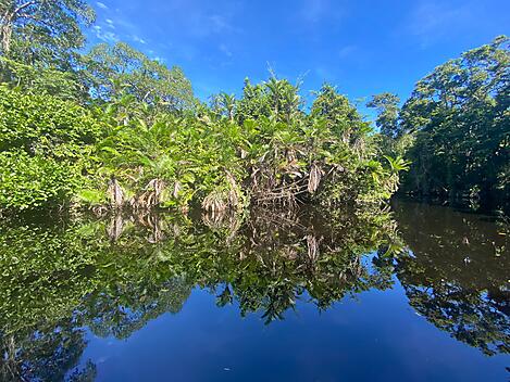 Natural sanctuaries & Caribbean encounters-Cuero y salado_mangrove tour el espejo_IMG_1711_@JoseSarica.JPG