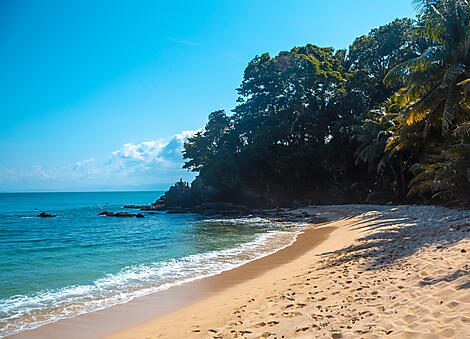 Sanctuaires naturels et rencontres caribéennes-AdobeStock_490522535.jpeg