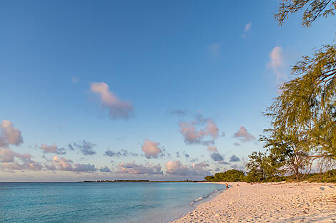 Zanzibar, Aldabra et trésors de l’océan Indien-6-Y010419_Assomption-Island_Seychelles©StudioPonant-Laurence Fischer.jpg