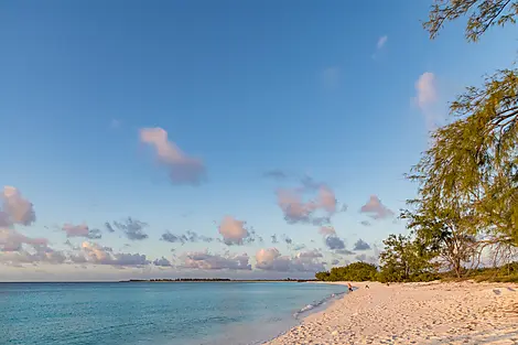 Zanzibar, Aldabra & the treasures of the Indian Ocean-6-Y010419_Assomption-Island_Seychelles©StudioPonant-Laurence Fischer.jpg