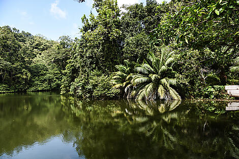 Natural Sanctuaries & Heritage of the Caribbean-N°2006-M040122_Colon-Puntarenas©StudioPONANT-Margot Sib.jpg