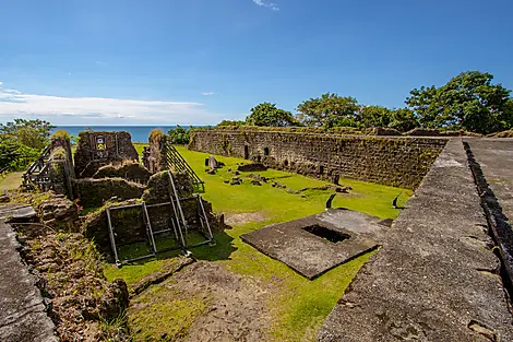 Patrimoine et sanctuaires naturels caribéens-AdobeStock_397910849.jpeg