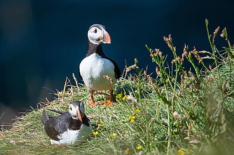 Natur und Traditionen Islands-N°2112_CR22_BO310723_BESTOF_Reykjavik-Reykjavik©StudioPONANT_JoannaMARCHI.jpg