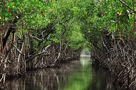 Adventure in the Bissagos Islands -AdobeStock_122108033.jpeg