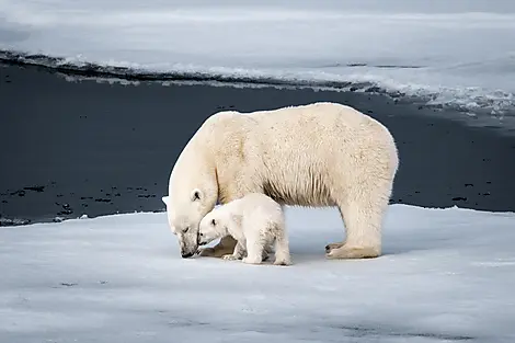 Au cœur des glaces de l'Arctique, du Svalbard au Groenland-N°0240_O150622_Longyearbyen-Longyearbyen©StudioPONANT_Morgane Monneret.jpg