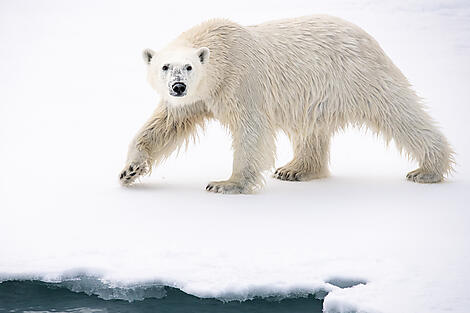 Printemps inuit d'Ammassalik-N°0387_O030622_Reykjavik-Longyearbyen©StudioPONANT_Morgane Monneret.jpg