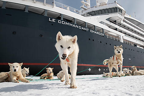 Frühling mit den Inuit von Ammassalik-N°0099_O100522_Reykjavik-Reykjavik©StudioPONANT-Morgane Monneret.jpg