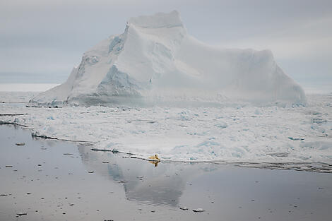 Banquise inexplorée du nord-est du Groenland-N°0416_O220522_Reykjavik-Reykjavik©StudioPONANT_Morgane Monneret.jpg