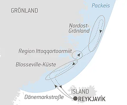 Das unerforschte Meereis von Nordost-Grönland