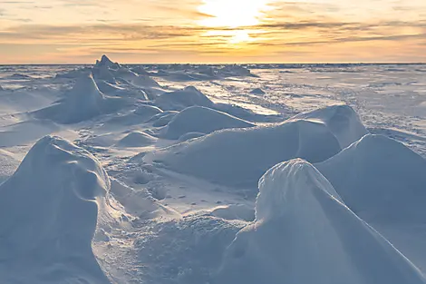 Transarktisches Abenteuer, die Überquerung des Nordpols-46_Texture-banquise_CDT-Charcot©StudioPONANT-Olivier Blaud.jpg