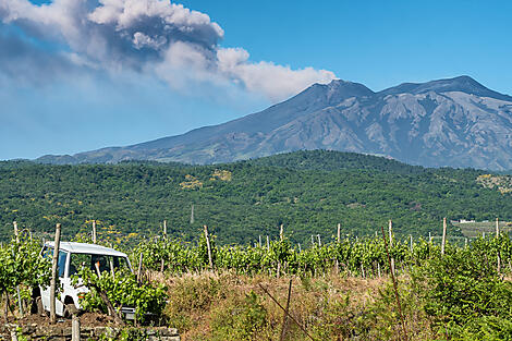 Epikureische Genüsse auf Sizilien und an der italienischen Adriaküste-AdobeStock_427199063_3008x2000.jpg