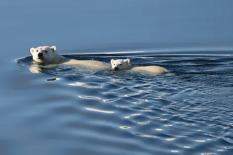 Wilde Küsten von Grönland bis zur Ostküste Kanadas-No-1806_S110815_Kangerlussuaq-Kangerlussuaq©StudioPONANT-Nathalie Michel.jpg