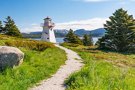 Des côtes sauvages du Groenland à la côte est du Canada-AdobeStock_275737265.jpeg