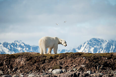 Grand Nord sauvage, du Spitzberg à l’Islande-029_B110717_Woodfjorden©StudioPONANT-O.Blaud.JPEG