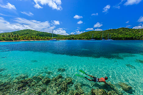 The Essentials of the Caribbean-iStock_000021175156_Large.jpg