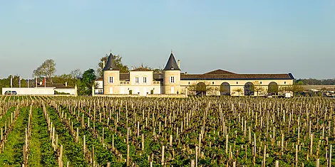 Gaumenfreuden, Weinberge und Ozean