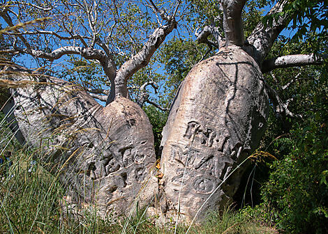 Unentdeckte Schätze Australiens-N°-1157_R280422_Darwin-Broome@StudioPONANT-Laure Patricot.jpg