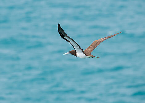 Australia's Iconic Kimberley-N°-1369_R280422_Darwin-Broome@StudioPONANT-Laure Patricot.jpg