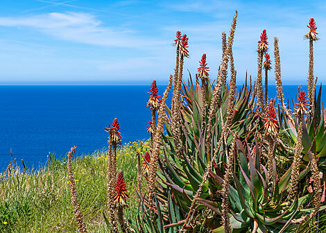 Rund um Korsika-No-2064_LY040523_Nice-Civitavecchia_©StudioPONANT_AlexandreHerbrecht.jpg