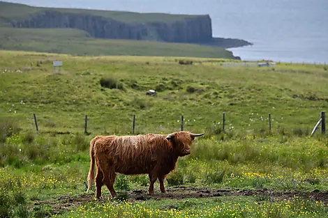 Scottish Isles & Norwegian Fjords-N-2897_EC190623_Glasgow_Edimbourg©STUDIO PONANT_Sylvain ADENOT.JPG