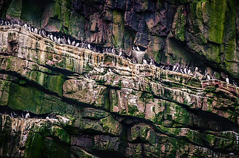 Scottish archipelagos and the Faroe Islands: Nordic heritage and island identities-AdobeStock_218693522.jpeg