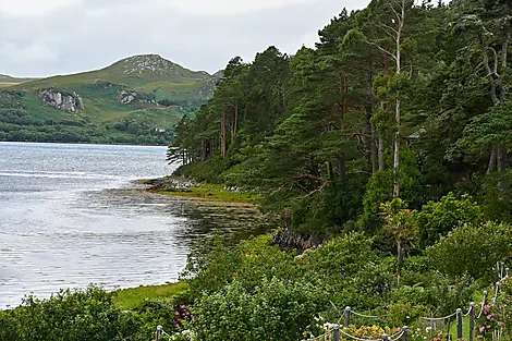 Scottish archipelagos and the Faroe Islands: Nordic heritage and island identities-AdobeStock_528948087.jpeg