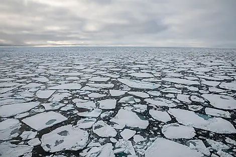 Le pôle Nord géographique et côte est du Groenland-N°2052_CR17_O220822©StudioPONANTJoanna Marchi.jpg