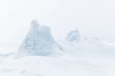 Le pôle Nord géographique et côte est du Groenland-N°0281_O080722_Longyearbyen-Longyearbyen©StudioPONANT_Morgane Monneret.jpg